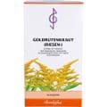 GOLDRUTENKRAUT Riesen Tee – Bild 1