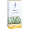 KÜMMEL TEE – Bild 1