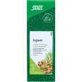 INGWER GEWÜRZTEE Zingiber officinale Bio Salus – Bild 3