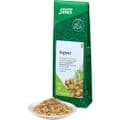 INGWER GEWÜRZTEE Zingiber officinale Bio Salus – Bild 2