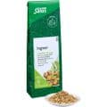 INGWER GEWÜRZTEE Zingiber officinale Bio Salus – Bild 4