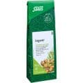 INGWER GEWÜRZTEE Zingiber officinale Bio Salus – Bild 1