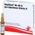NEYCHON Nr.68 A pro injectione Stärke 2 Ampullen – Bild 3