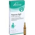 PASCOE-Agil HOM Injektopas Ampullen – Bild 6