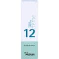 BIOCHEMIE Pflüger 12 Calcium sulfuricum Creme – Bild 1