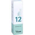 BIOCHEMIE Pflüger 12 Calcium sulfuricum Creme – Bild 4