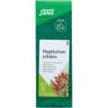 HAGEBUTTENSCHALEN Früchtetee Bio Salus – Bild 1