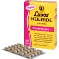 LUVOS Heilerde mikrofein Kapseln – Bild 2