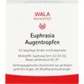 EUPHRASIA AUGENTROPFEN – Bild 1