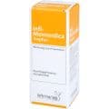INFI MOMORDICA Tropfen – Bild 2