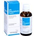 INFI ORTHOSIPHONIS Tropfen – Bild 5