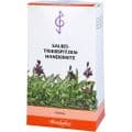 SALBEI TRIEBSPITZEN Tee Handernte – Bild 3