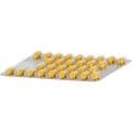 TEBONIN spezial 80 mg Filmtabletten – Bild 4