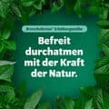 BRONCHOFORTON Salbe – Bild 6