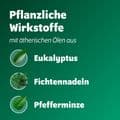 BRONCHOFORTON Salbe – Bild 8