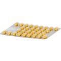 TEBONIN spezial 80 mg Filmtabletten – Bild 5