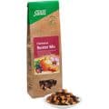 FRÜCHTETEE Bunter Mix Bio Salus – Bild 3