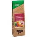 FRÜCHTETEE Bunter Mix Bio Salus – Bild 4