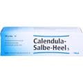 CALENDULA SALBE Heel S – Bild 1