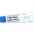 CALENDULA SALBE Heel S – Bild 5