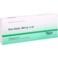 DISCI Bamb HM Inj.Ampullen – Bild 5