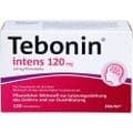 TEBONIN intens 120 mg Filmtabletten – Bild 1