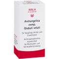 ARCHANGELICA COMP.Globuli – Bild 3
