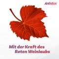 ANTISTAX Venencreme – Bild 7
