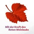 ANTISTAX Venencreme – Bild 7