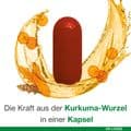 CURCUMIN-LOGES Kapseln – Bild 7