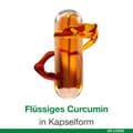 CURCUMIN-LOGES Kapseln – Bild 8