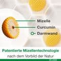 CURCUMIN-LOGES Kapseln – Bild 9