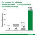 CURCUMIN-LOGES Kapseln – Bild 10