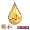 PLANTANA Lippen-Balsam – Bild 3