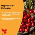 LITOZIN Hagebutte+Kollagen Trinkfläschchen – Bild 4