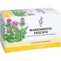 MARIENDISTEL FRÜCHTE Filterbeutel – Bild 4