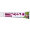 TRAUMAPLANT Schmerzcreme – Bild 4
