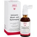 ECHINACEA MUND- und Rachenspray – Bild 5
