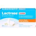 LACTRASE 12.000 FCC Kapseln – Bild 1