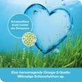 OMEGA3-LOGES pflanzlich Kapseln – Bild 6