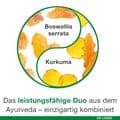 CURCUMIN-LOGES plus Boswellia Kapseln – Bild 8