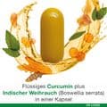 CURCUMIN-LOGES plus Boswellia Kapseln – Bild 9