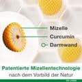 CURCUMIN-LOGES plus Boswellia Kapseln – Bild 10