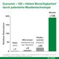 CURCUMIN-LOGES plus Boswellia Kapseln – Bild 11