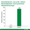 CURCUMIN-LOGES plus Boswellia Kapseln – Bild 12