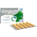 GINGIUM 120 mg Filmtabletten – Bild 3