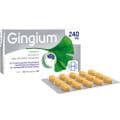 GINGIUM 240 mg Filmtabletten – Bild 2