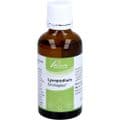 LYCOPODIUM SIMILIAPLEX Mischung – Bild 5