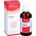KALMIA SIMILIAPLEX Mischung – Bild 3