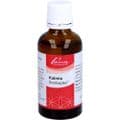 KALMIA SIMILIAPLEX Mischung – Bild 5